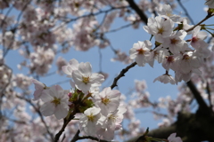 何とか間に合った