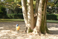 何がおるん？