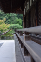 嵐山近くの神社