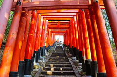 千本鳥居