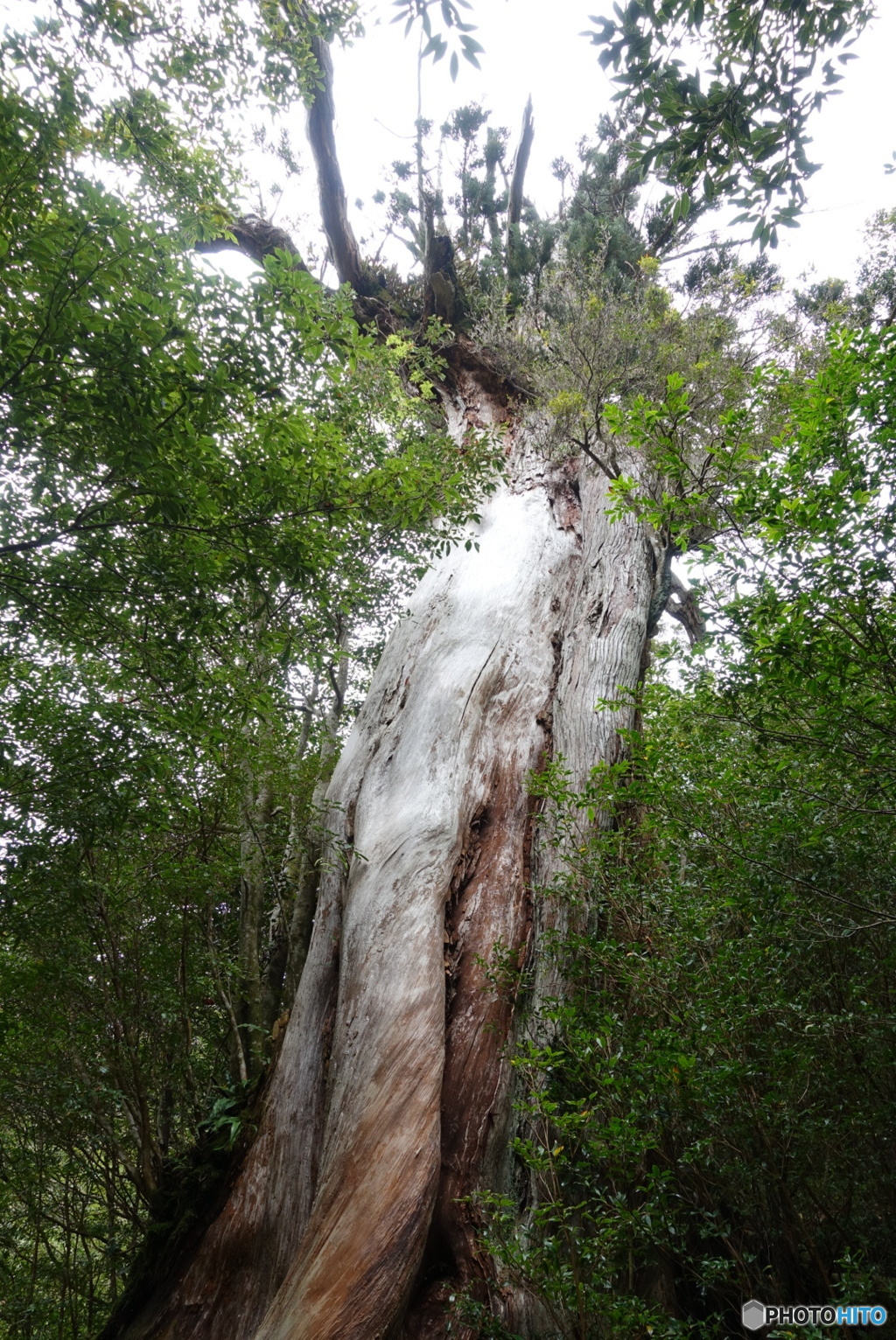 白谷雲水峡