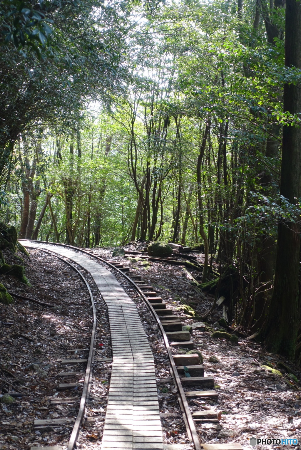 屋久島
