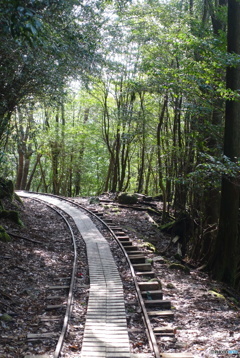 屋久島