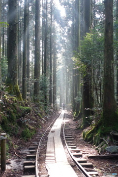 屋久島