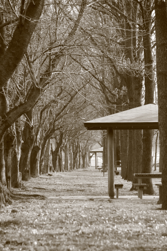 見沼通船堀公園（2）