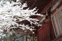 富士浅間神社２