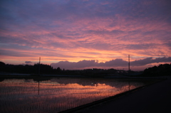夕焼け１