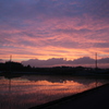 夕焼け１