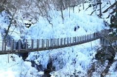 尾ノ内百景氷柱.JPG