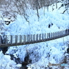 尾ノ内百景氷柱.JPG