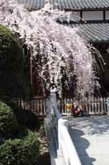 玉蔵院１