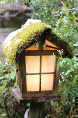 雪とコケ（２）