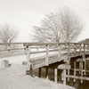 見沼通船堀公園橋