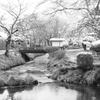 忍野八海３