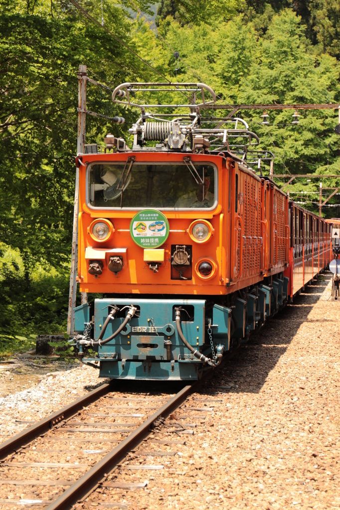 トロッコ電車２