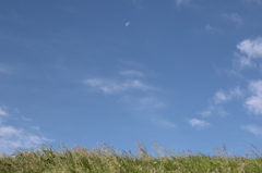 青空と月
