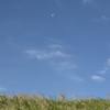 青空と月