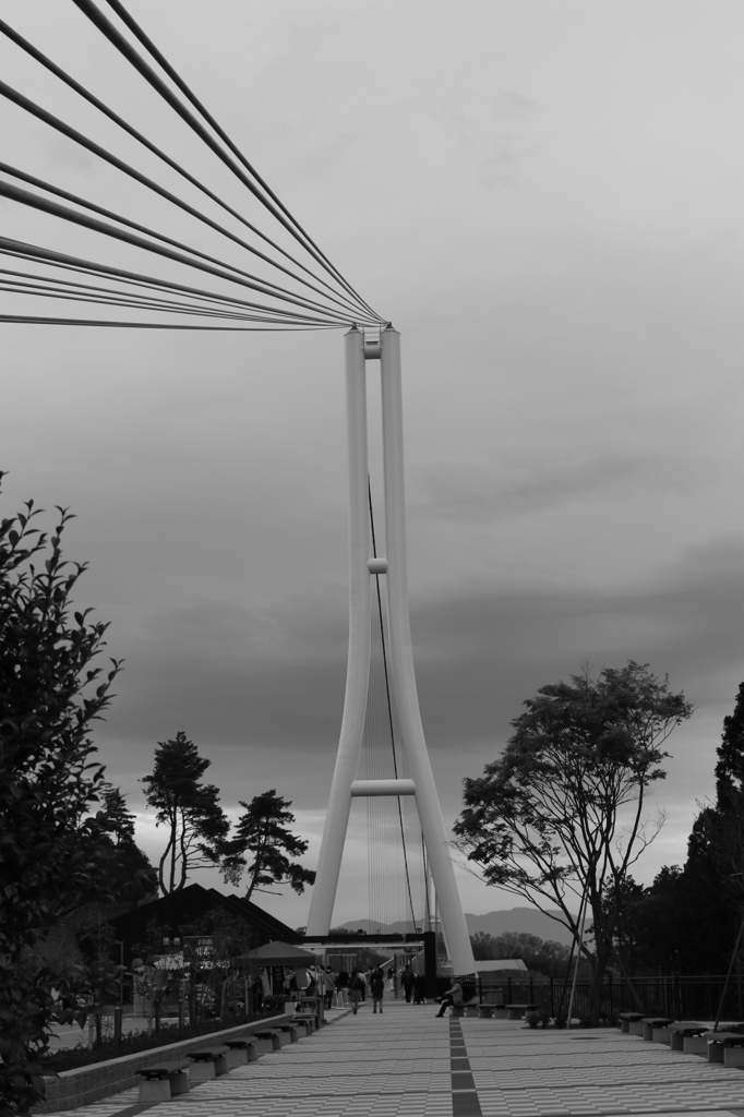 ＳＫＹＷＡＬＫ２