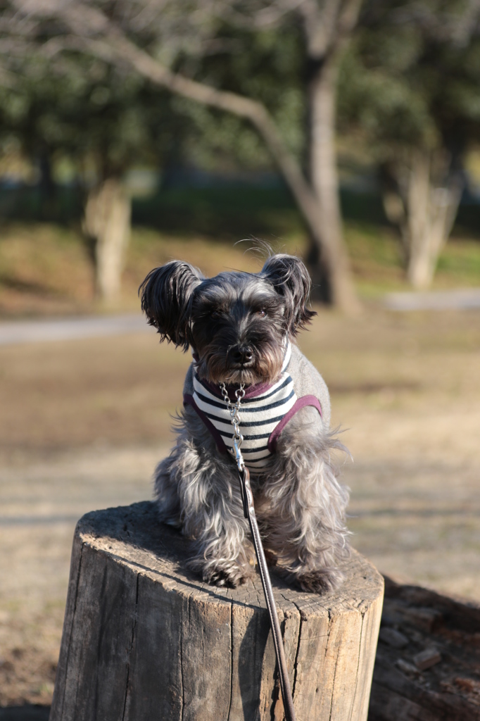 まだぁ～落ちちゃうよ
