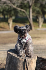 まだぁ～落ちちゃうよ