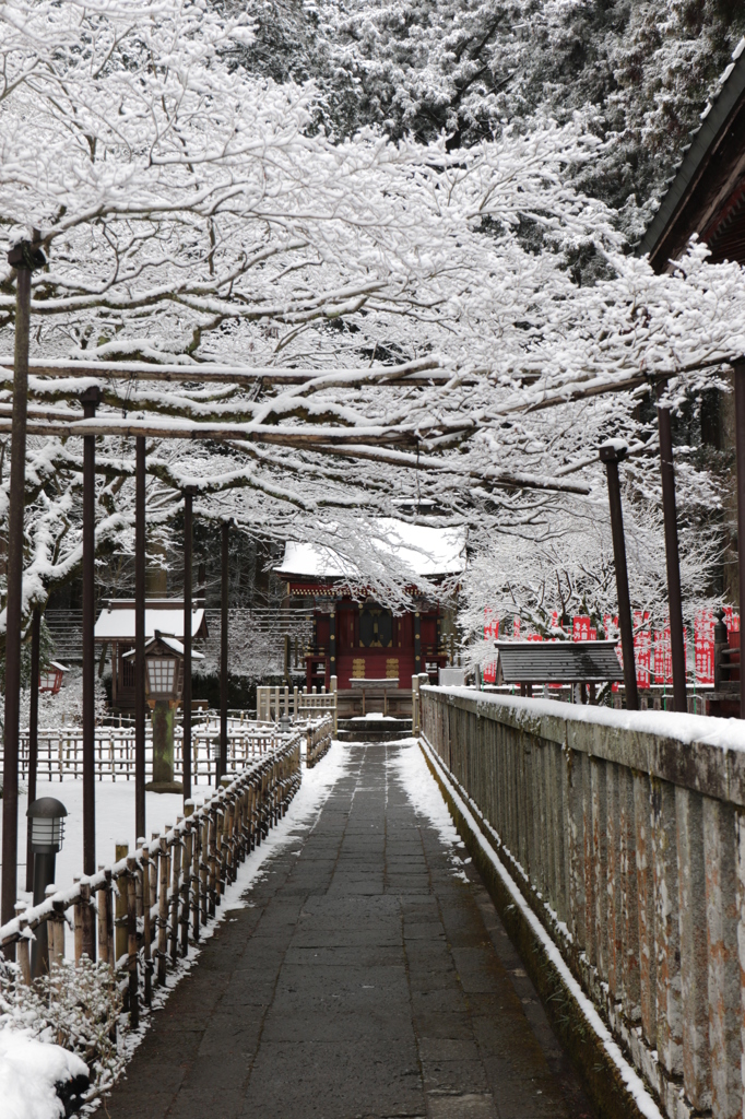 富士浅間神社１