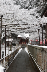 富士浅間神社１