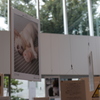 写真展２