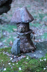 狸