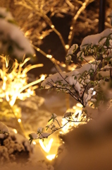 雪化粧