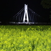 権現堂菜の花