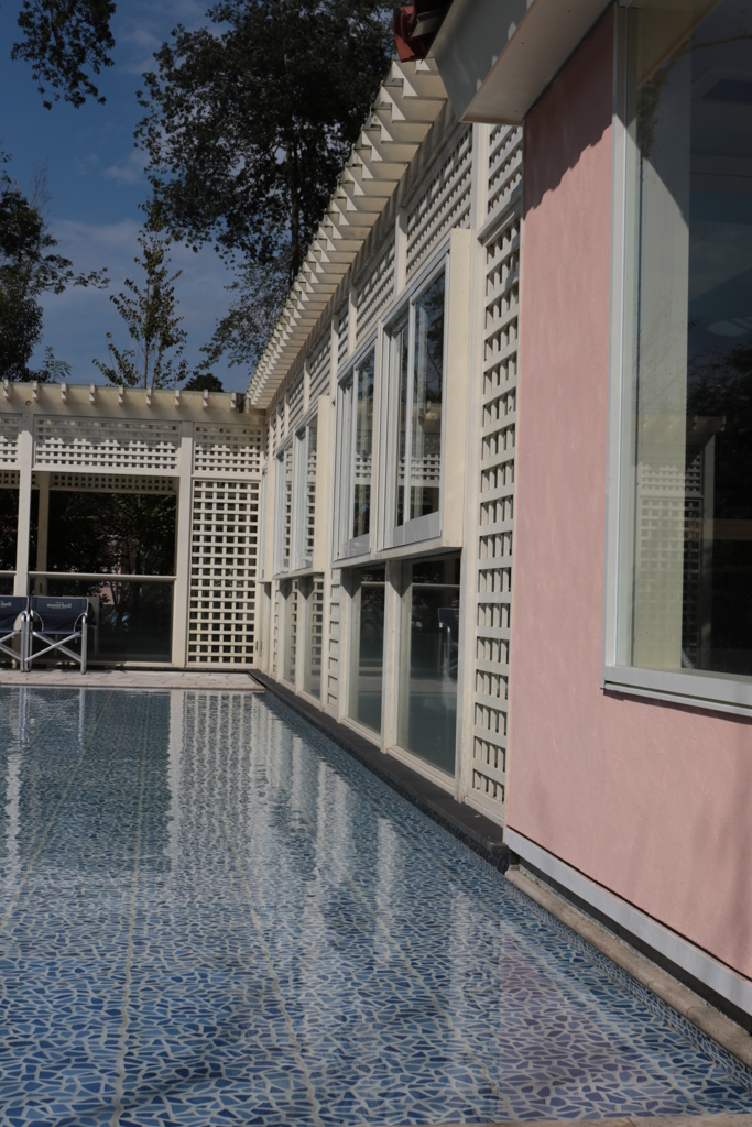 ドギーズアイランド