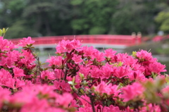 岩槻城址公園２