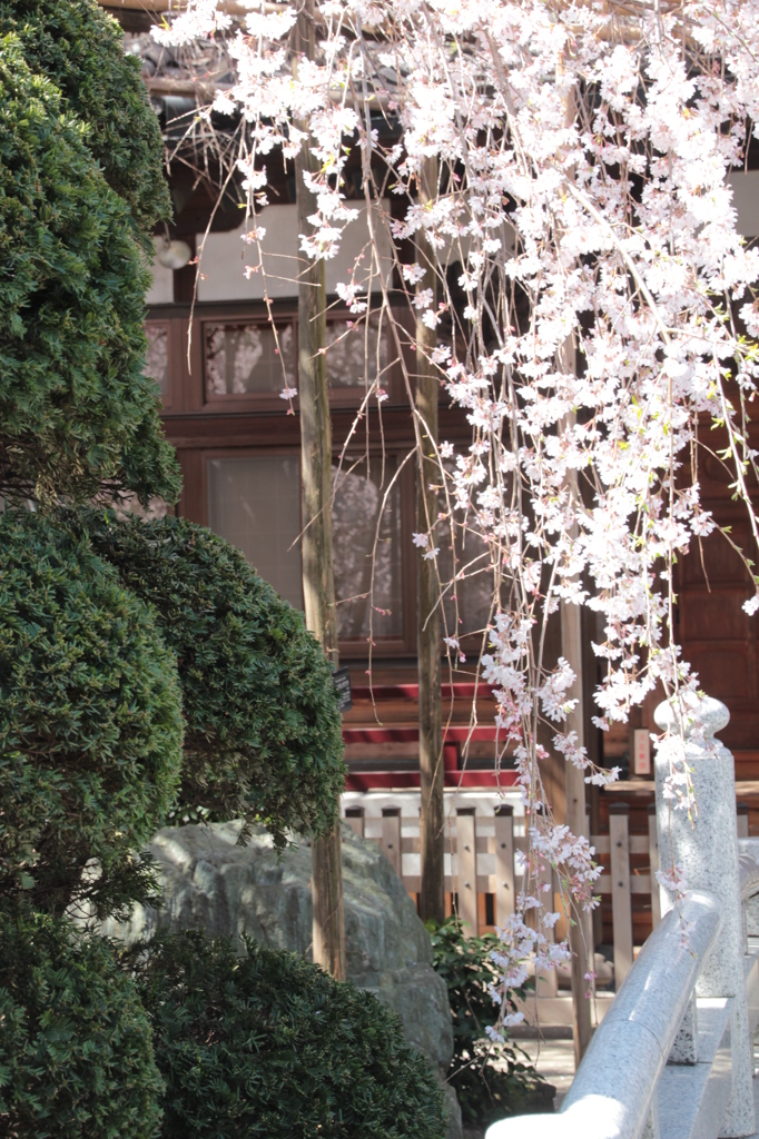 玉蔵院２