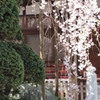 玉蔵院２