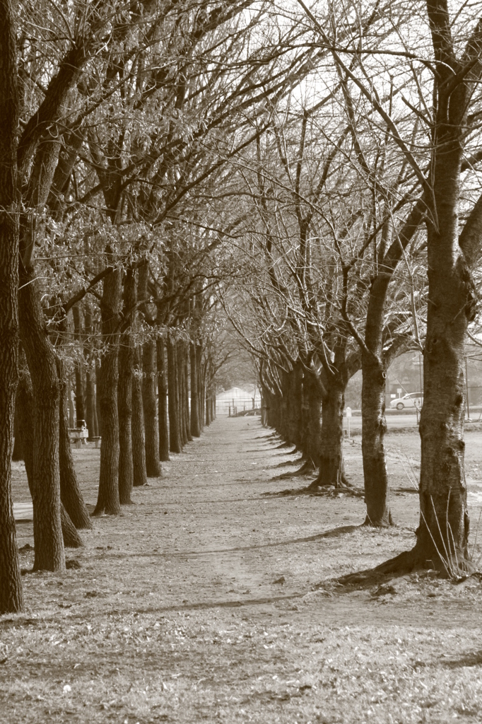 見沼通船堀公園（1）