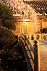 玉蔵院３