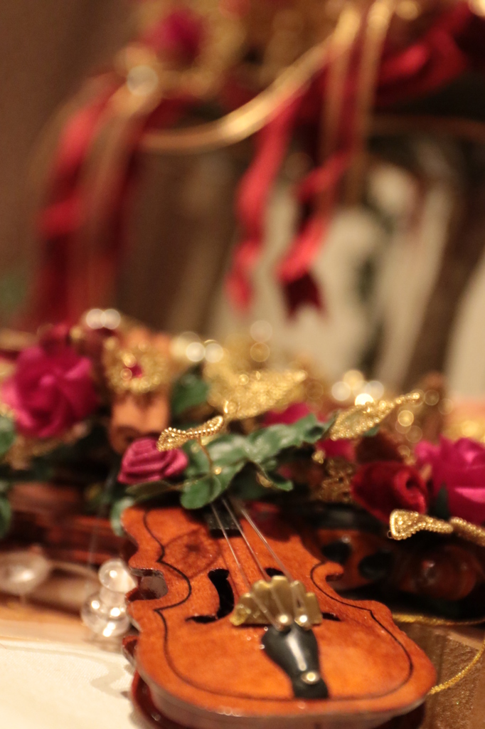 バイオリン（１）