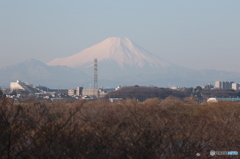 鉄柱と富士山」