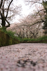 秋ヶ瀬１