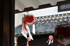 金魚の街