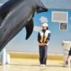 見て！、ボク飛んでるよ