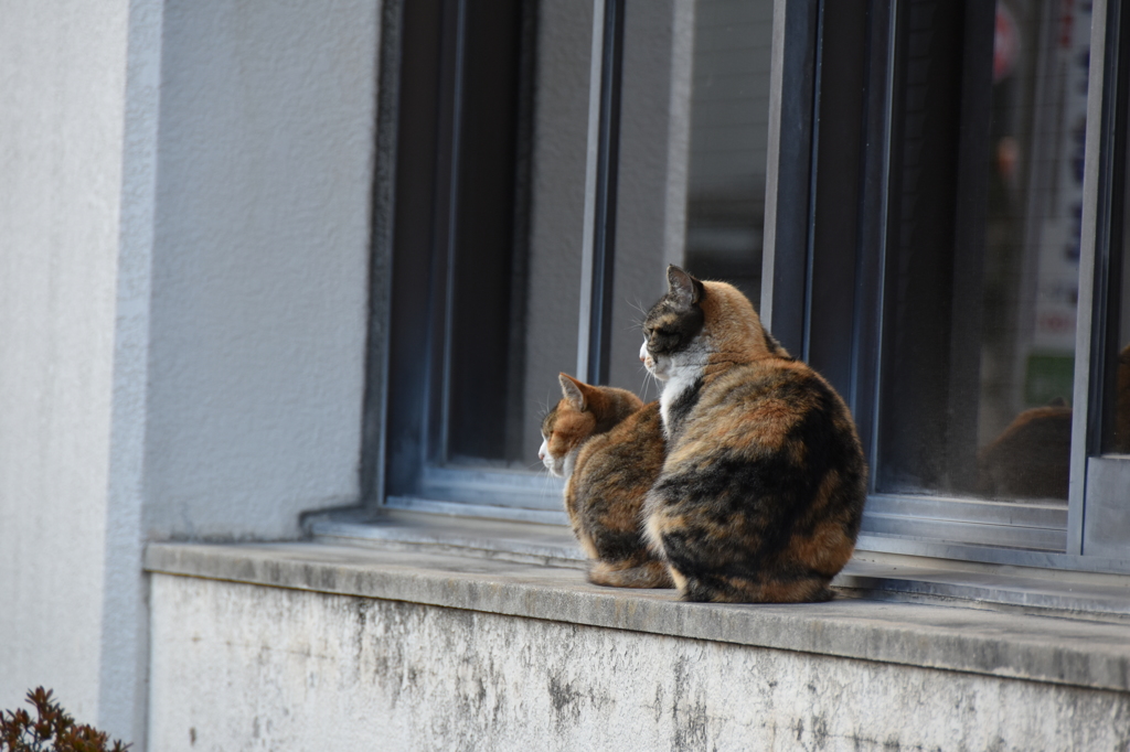２人で