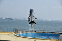 木を越えて、海？