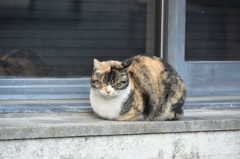 あったかーい