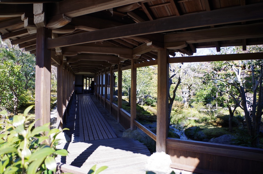 京都 嵐山  天龍寺？