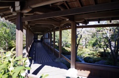京都 嵐山  天龍寺？