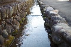 近所の川