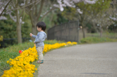僕の花