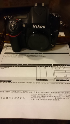 D600復活