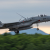 F−15J　203飛行隊